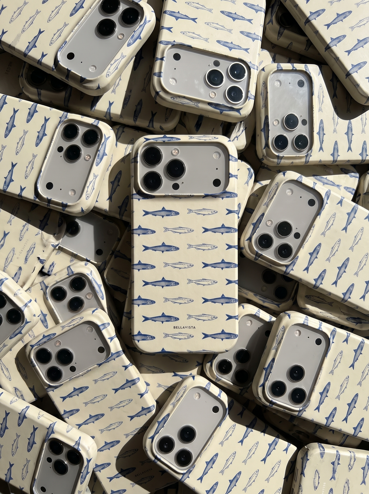 Sardine