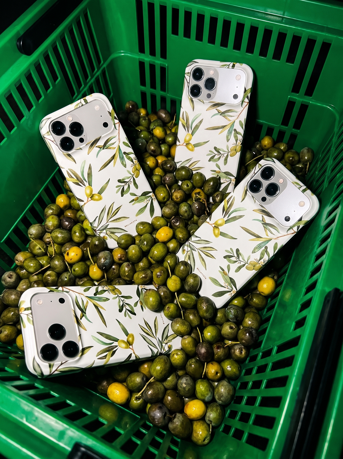 Oliva phone cases in a crate of freshly picked olives